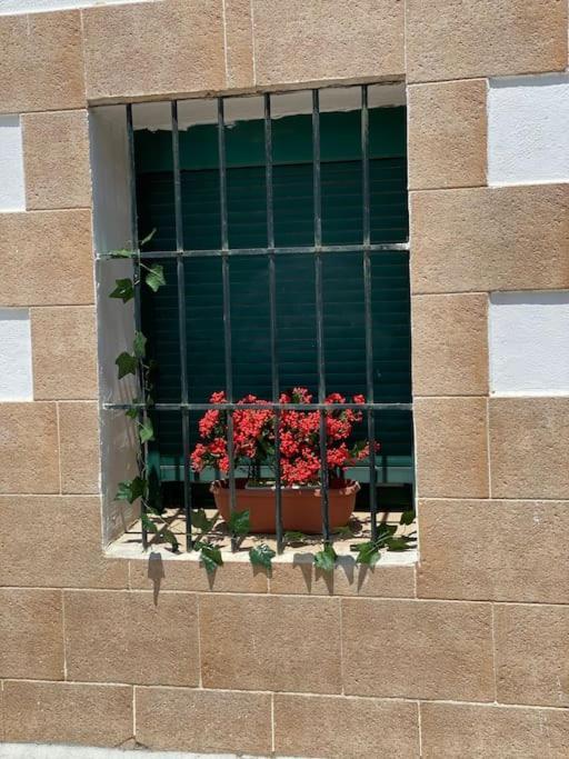 El Rincon Del Rey Daire Torrejon del Rey Dış mekan fotoğraf